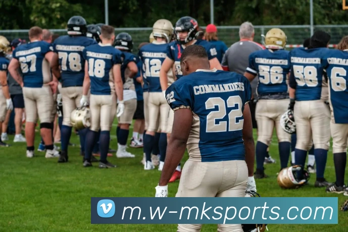 MK体育APP 封面图