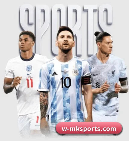 MK体育 APP（MKsports）